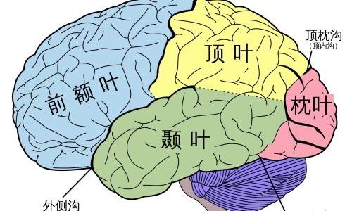 白血病病人如何问诊病史-白血病咨询医生-白血病病人如何问诊病历,中国白血病病人如何问诊网站