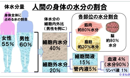 白血病如何诊断-白血病咨询医生-白血病病人如何问诊病历,中国白血病病人如何问诊网站